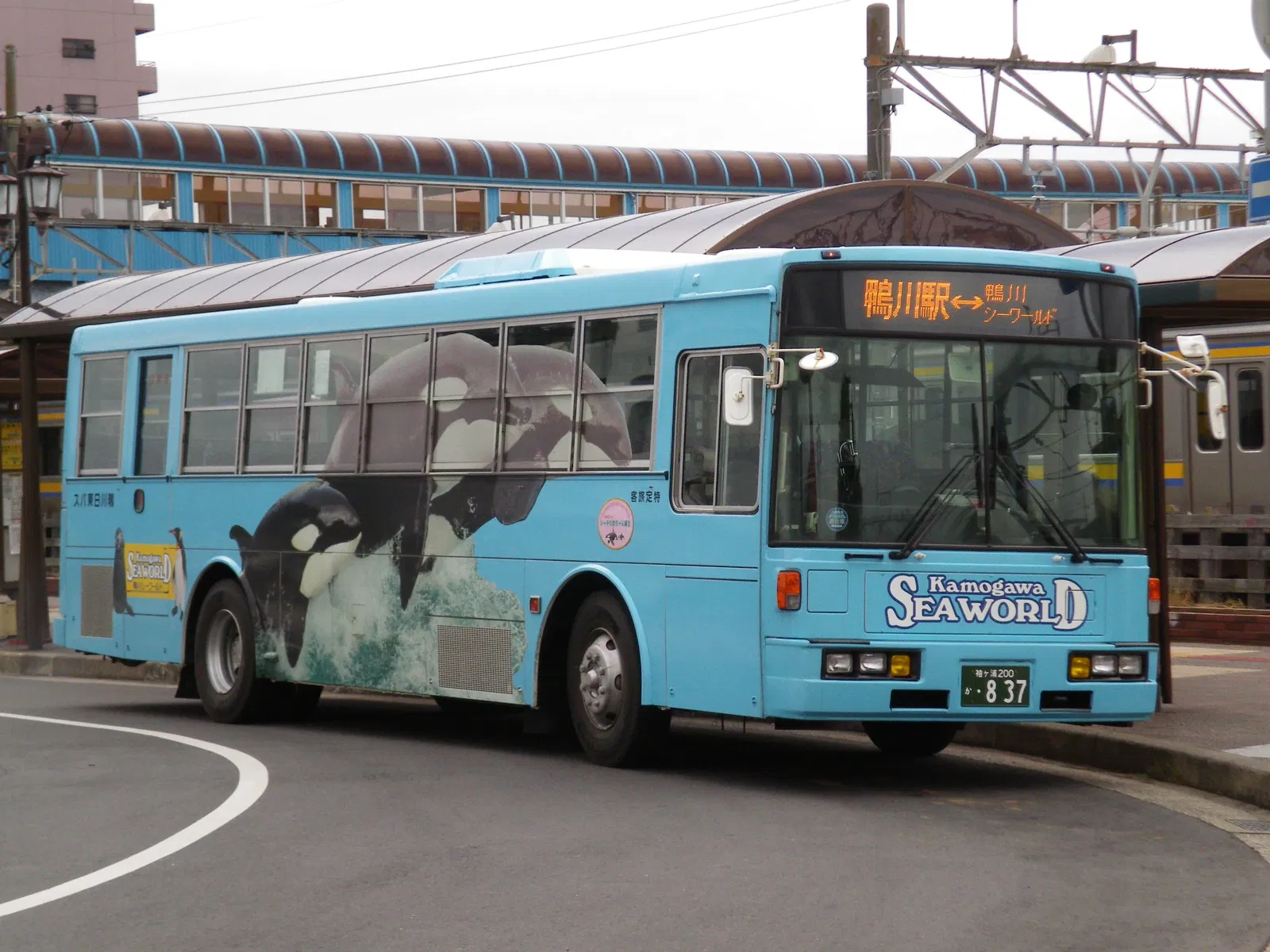 Kamogawa Sea World