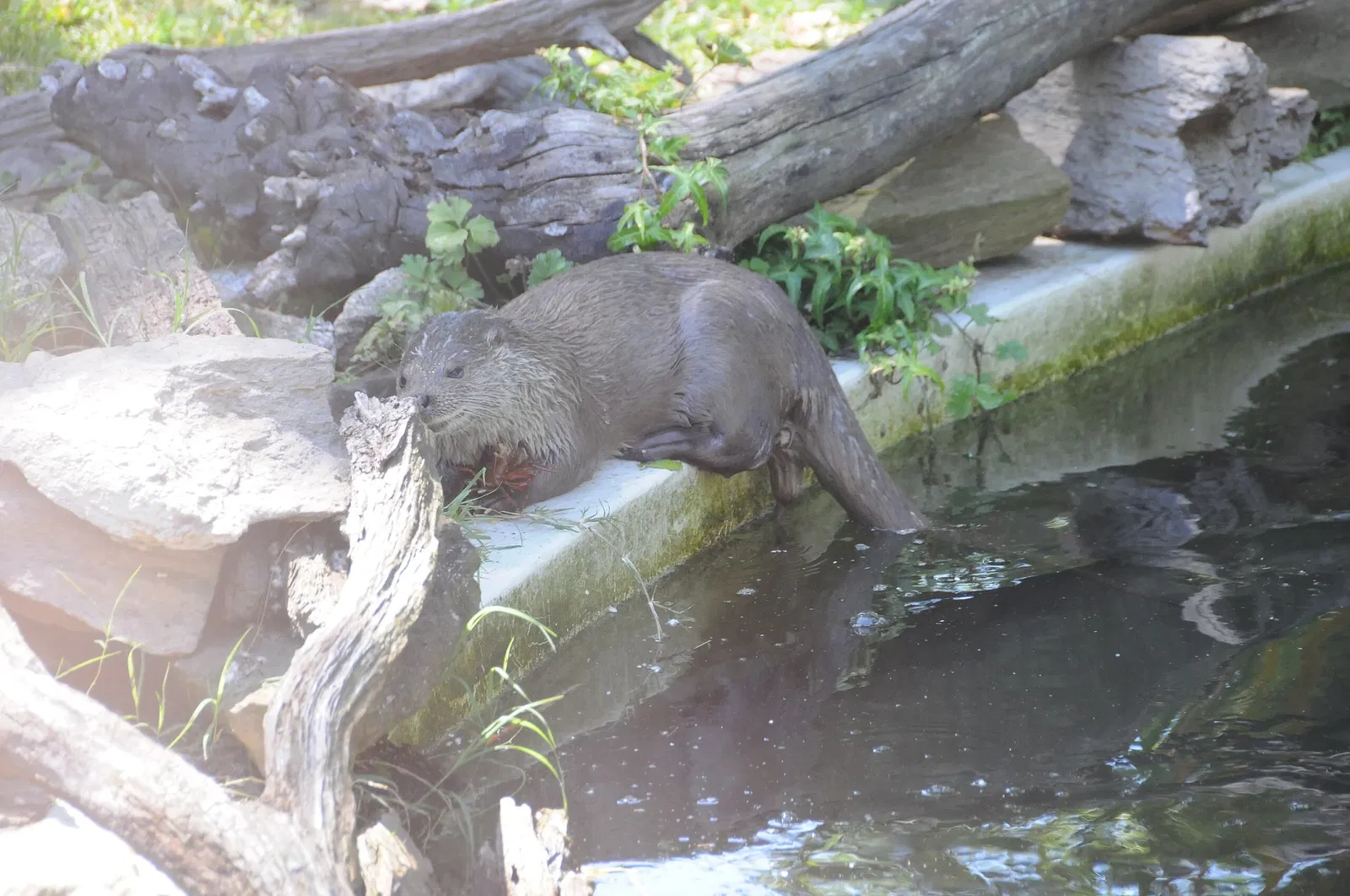 Aquamuseu do Rio Minho