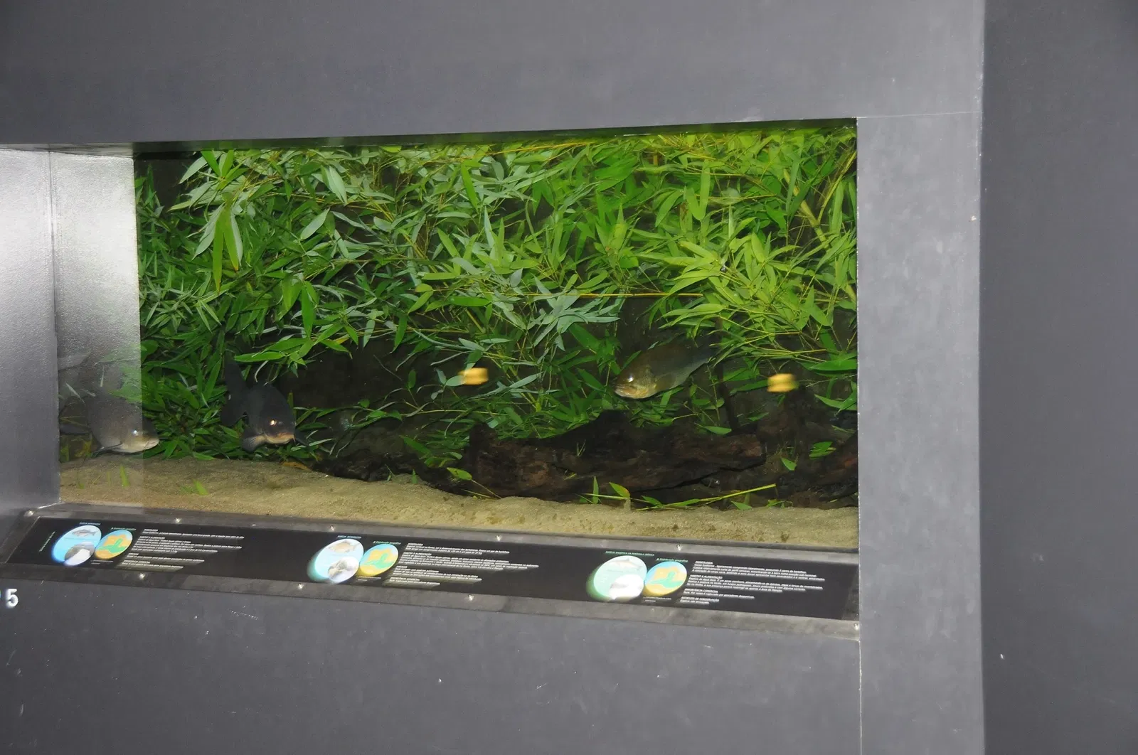 Aquamuseu do Rio Minho