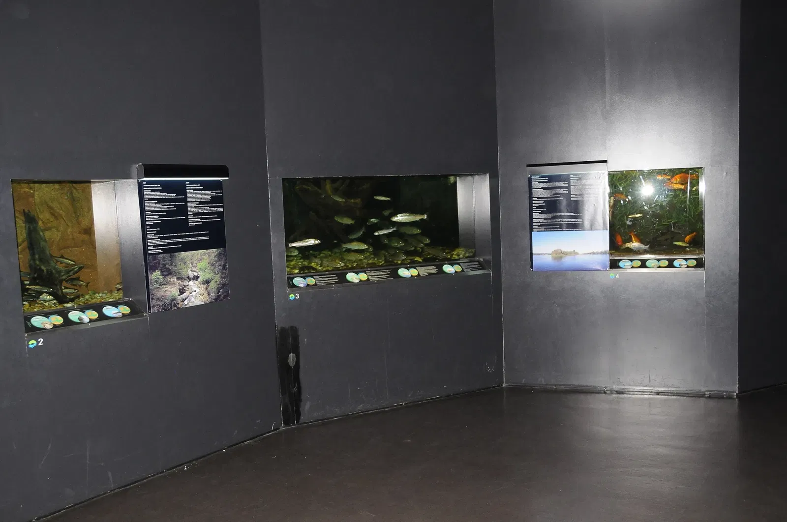 Aquamuseu do Rio Minho