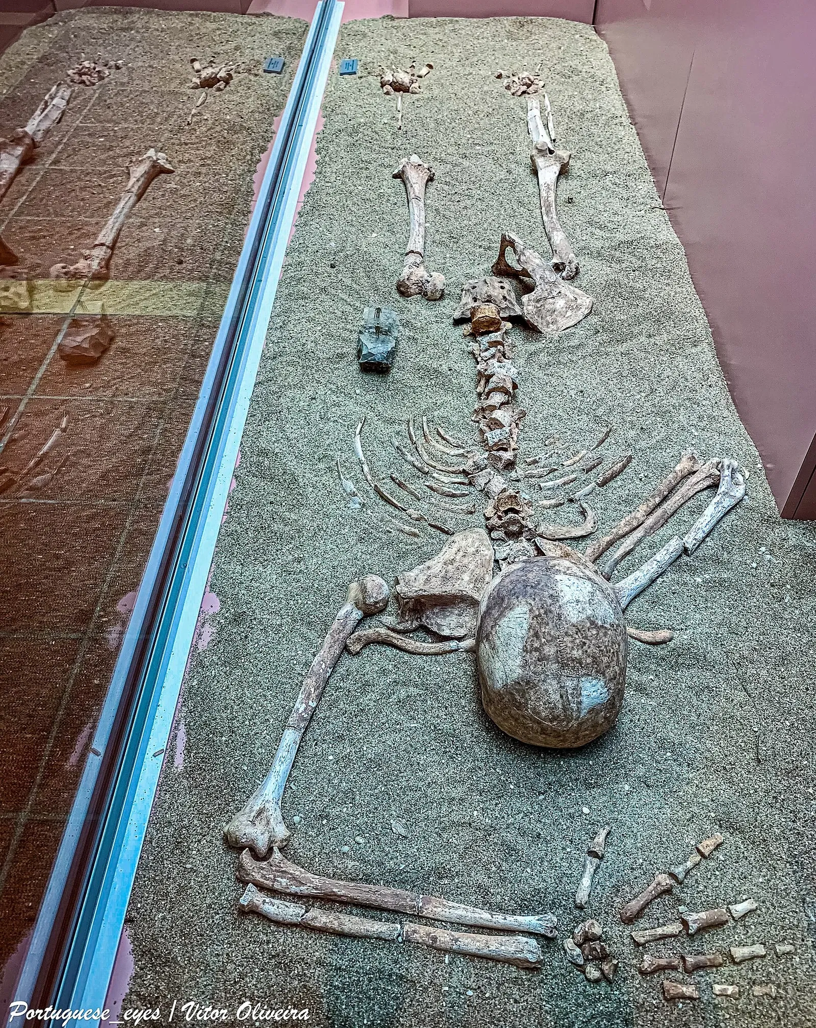 Silves Municipal Archaeology Museum