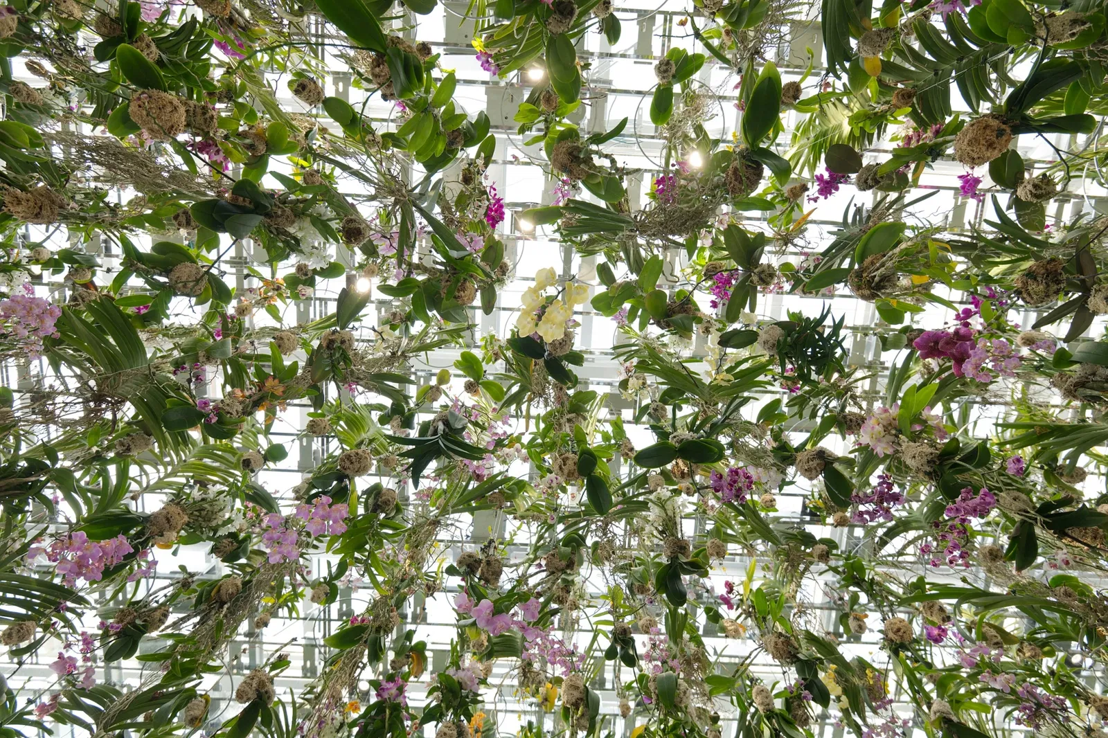 TeamLab Planets TOKYO DMM.com