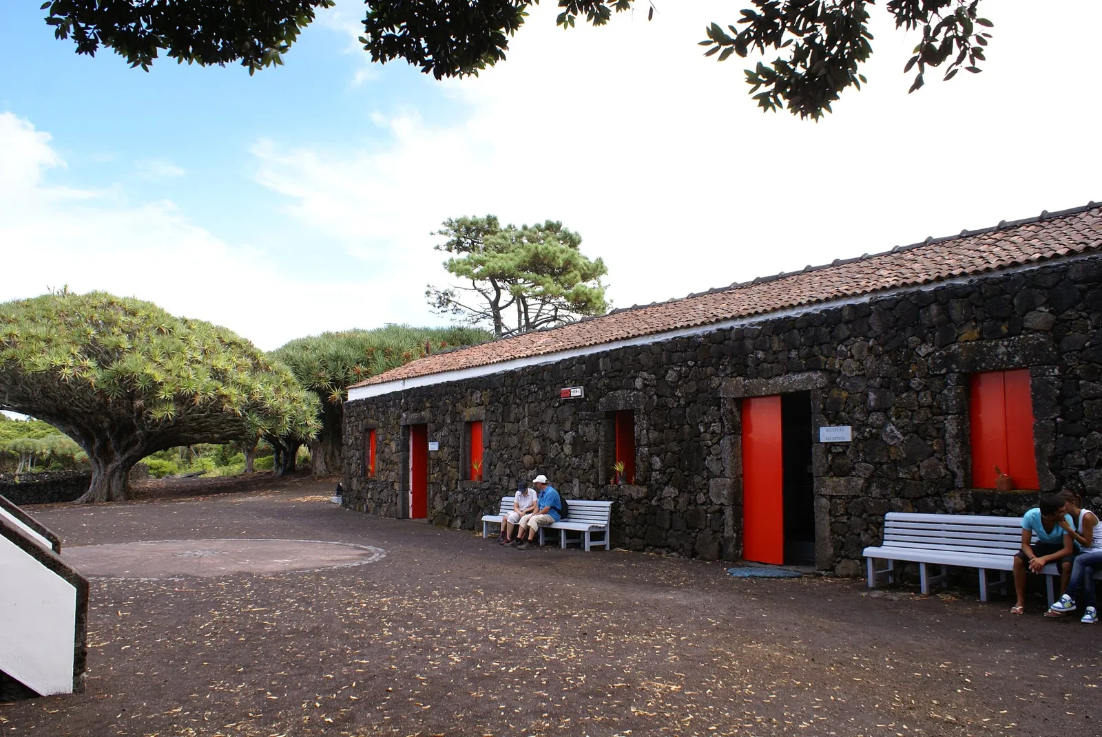 Wine Museum