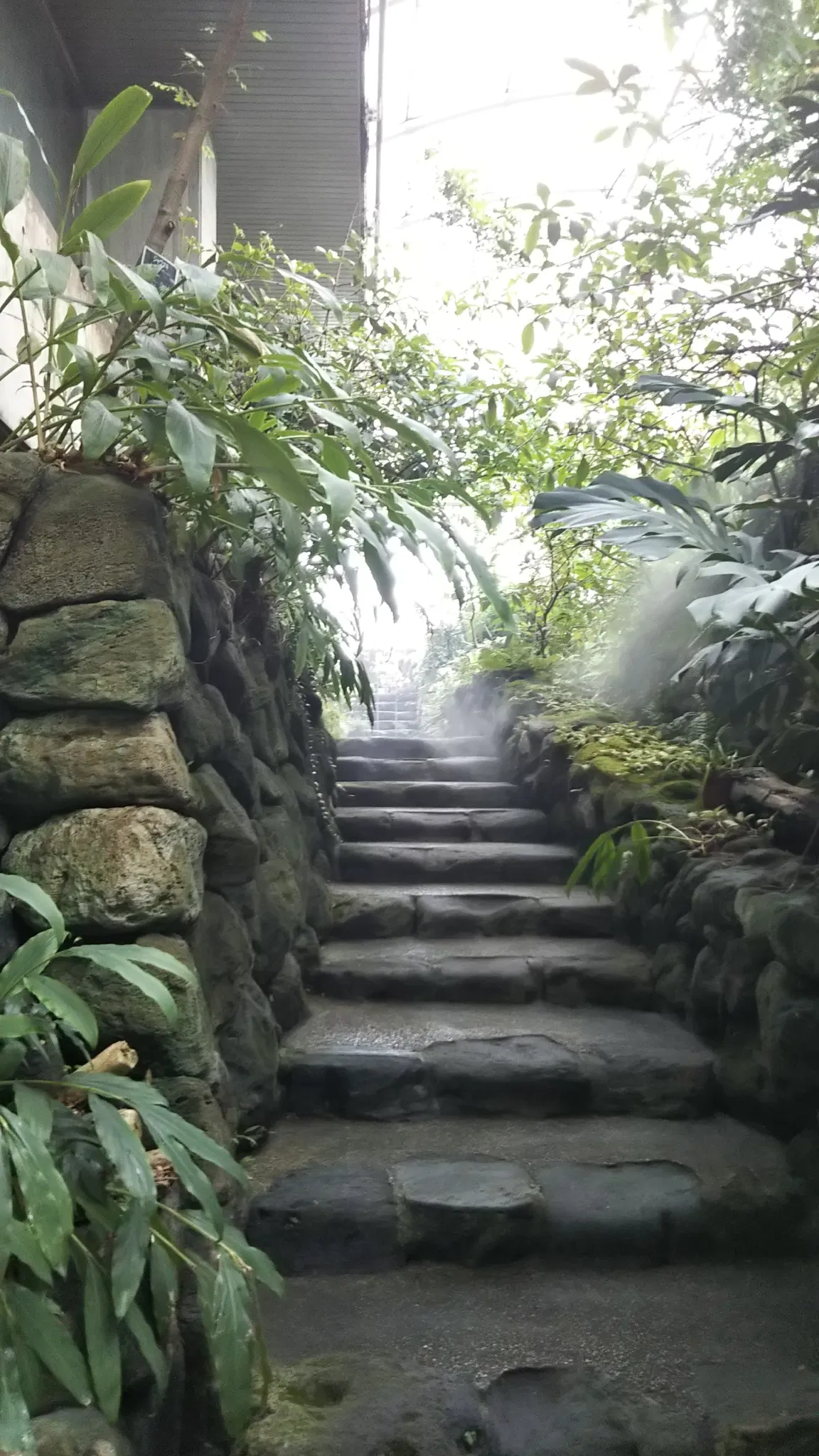 Itabashi Botanical Garden