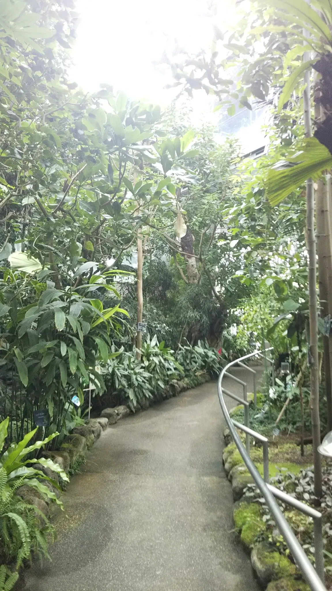 Itabashi Botanical Garden