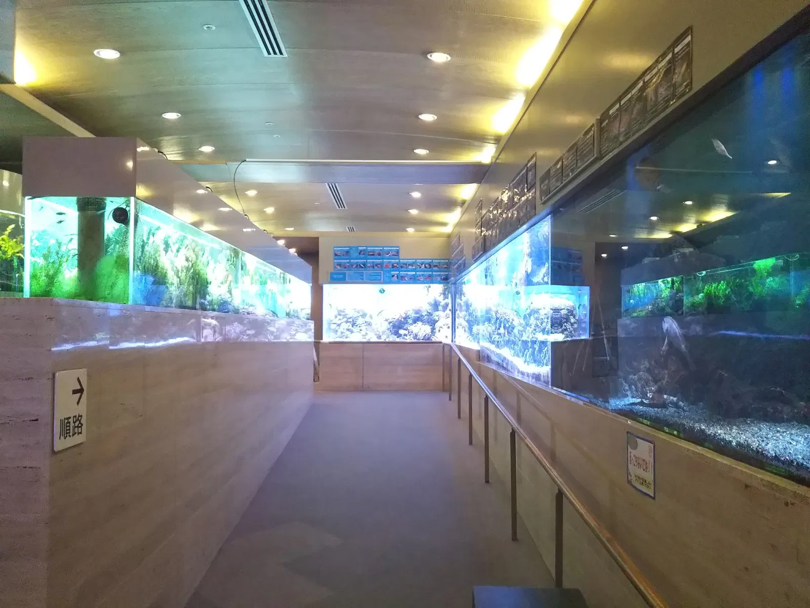 Itabashi Botanical Garden