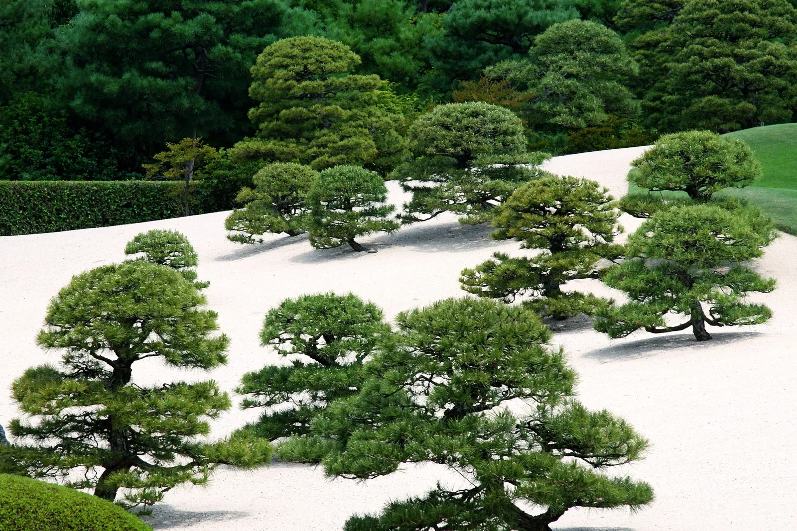 Adachi Museum of Art