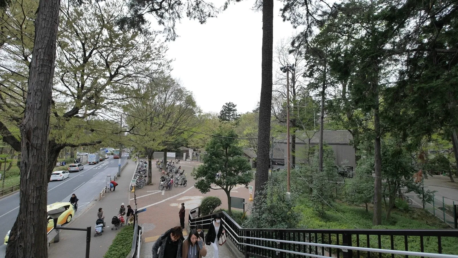 Inokashira Park Zoo