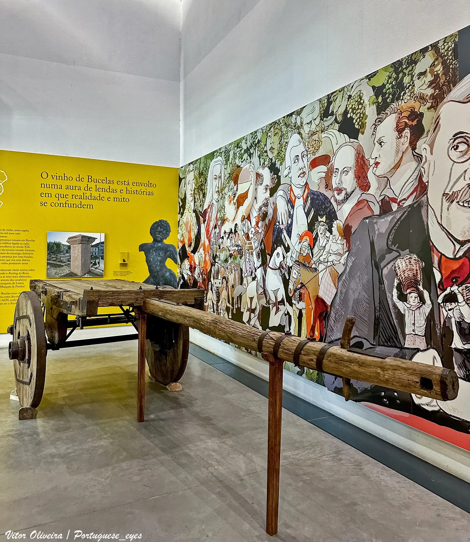 Wine and Vine Museum