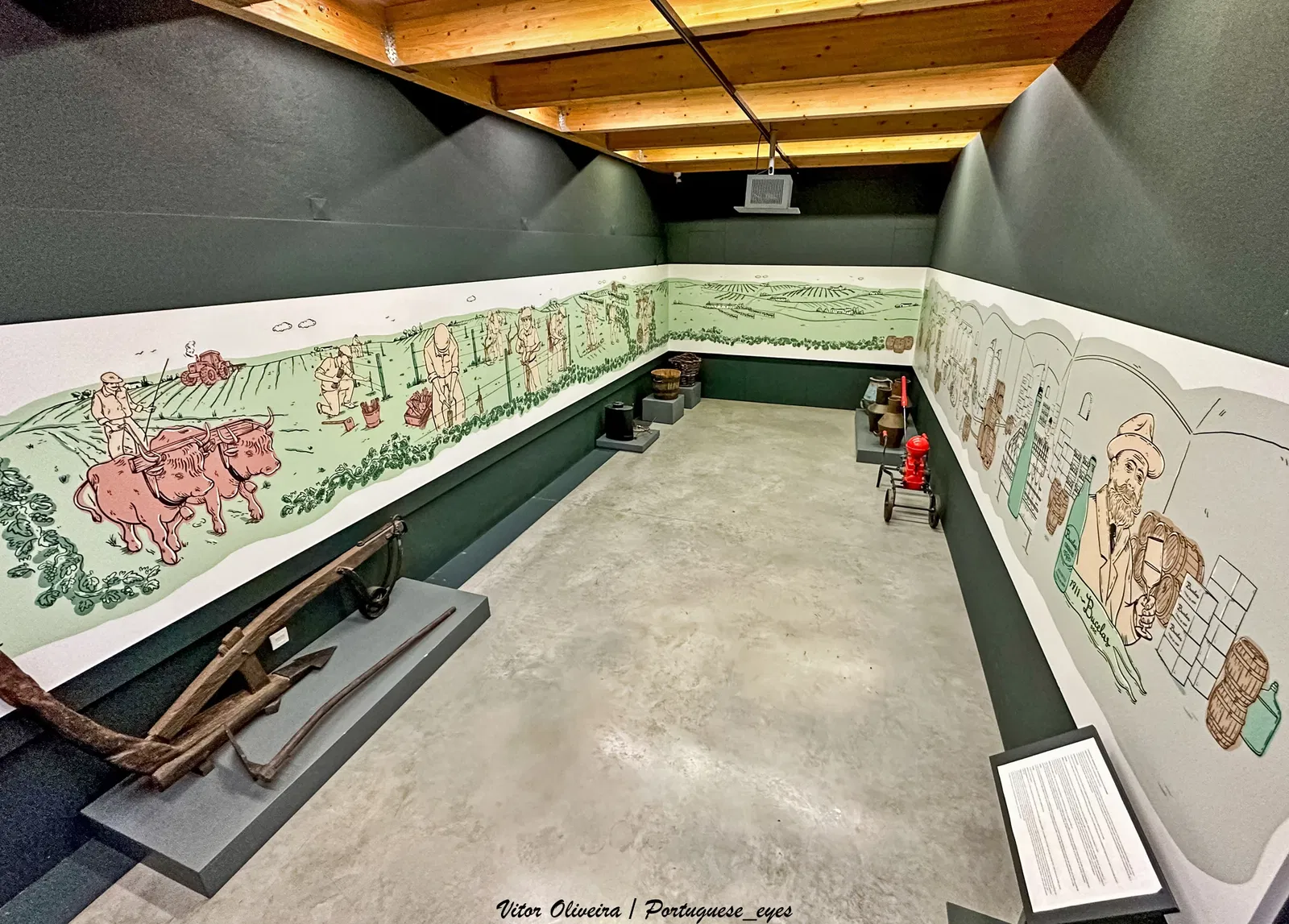 Wine and Vine Museum