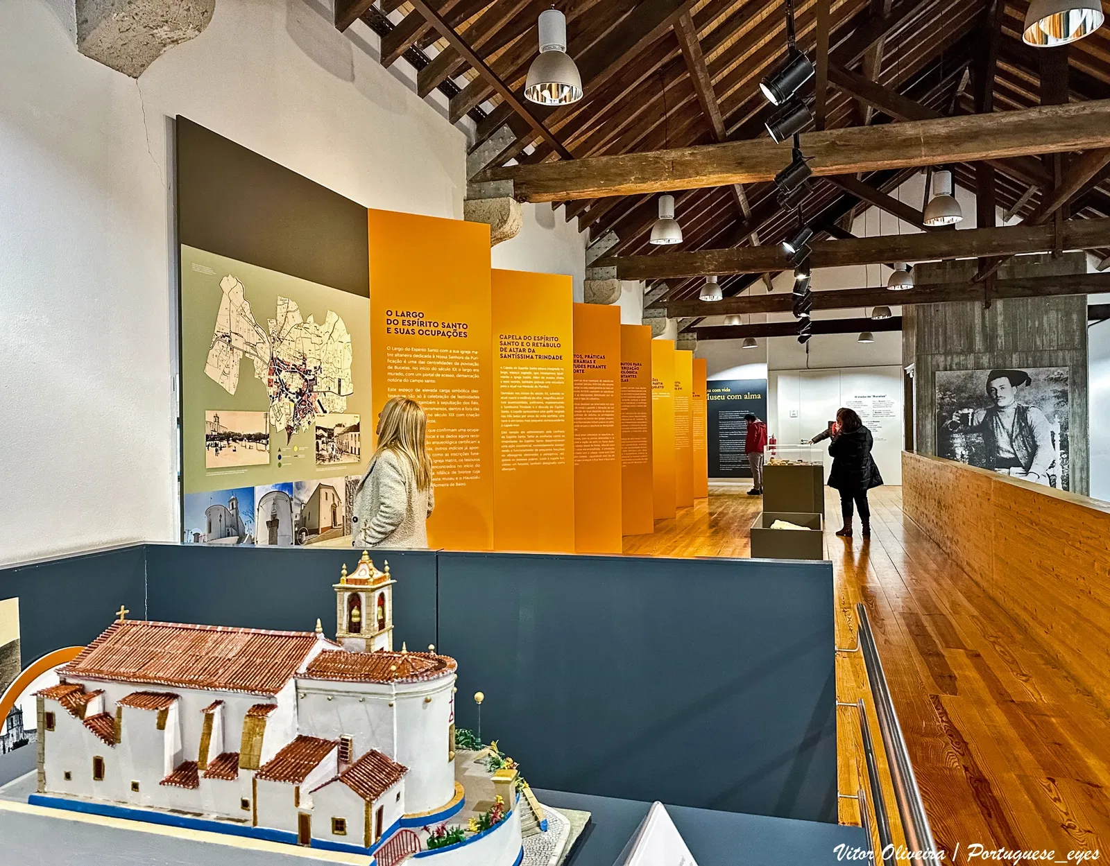 Wine and Vine Museum