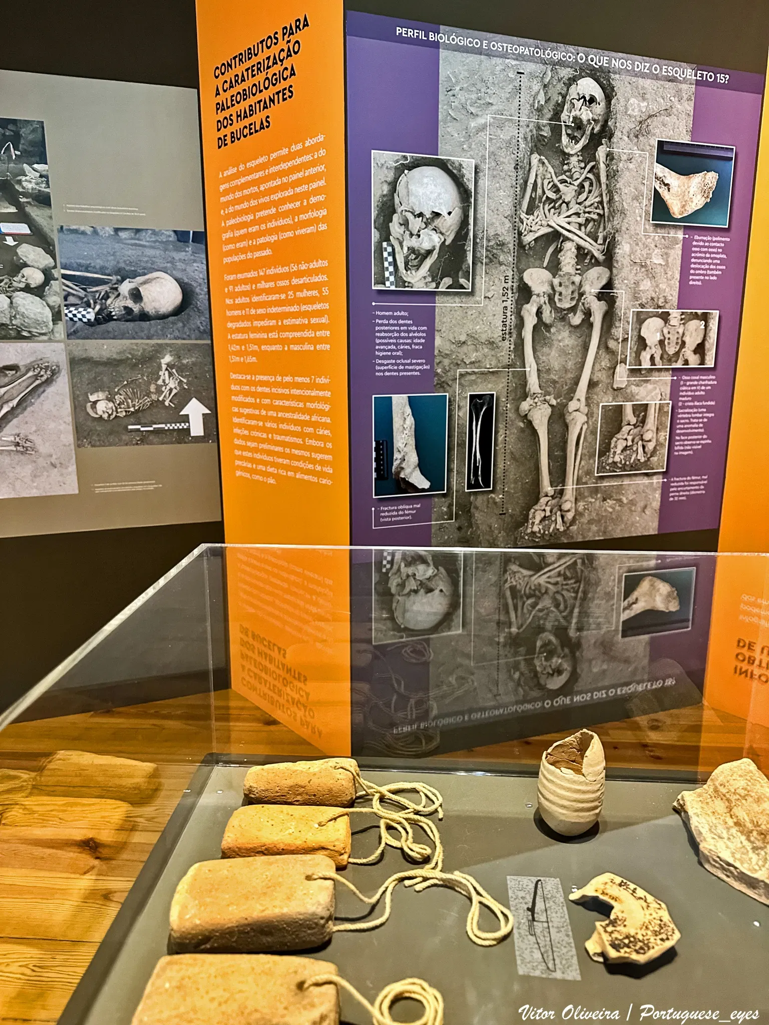 Wine and Vine Museum