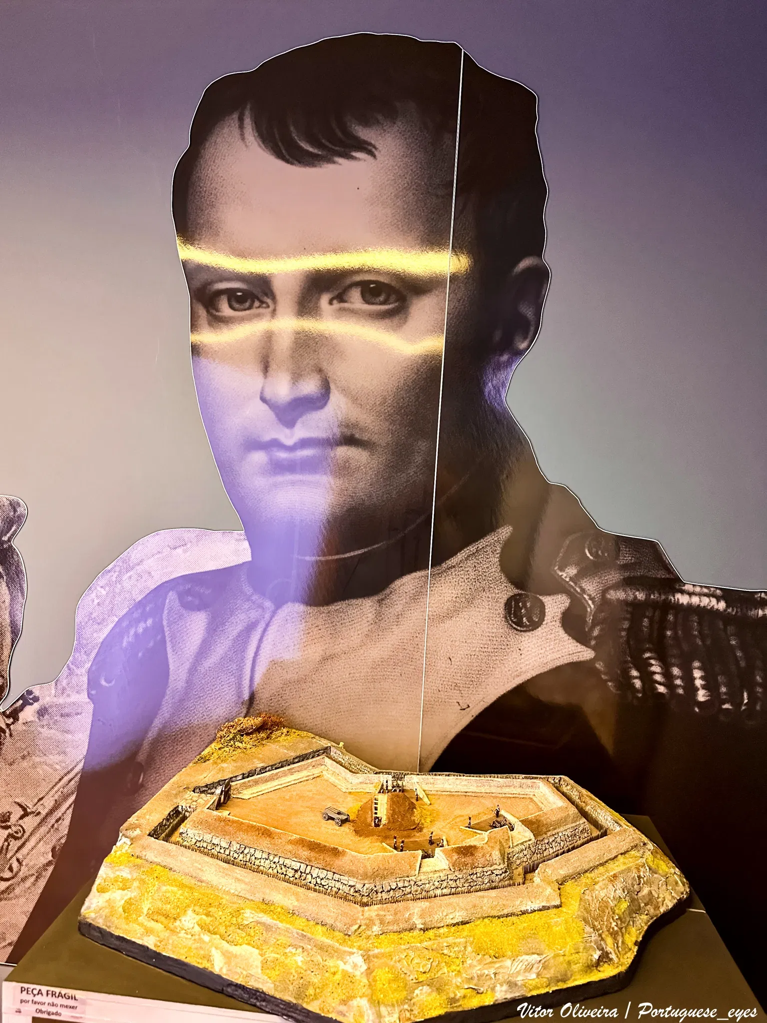 Wine and Vine Museum