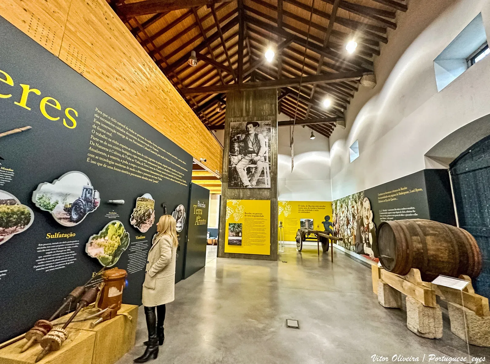 Wine and Vine Museum