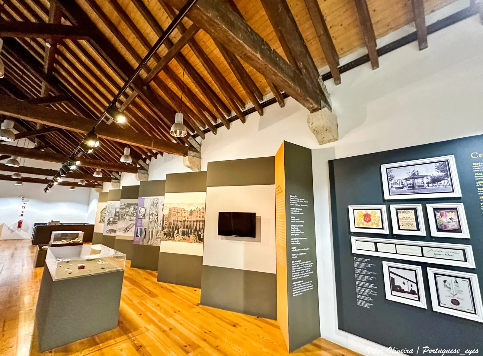 Wine and Vine Museum