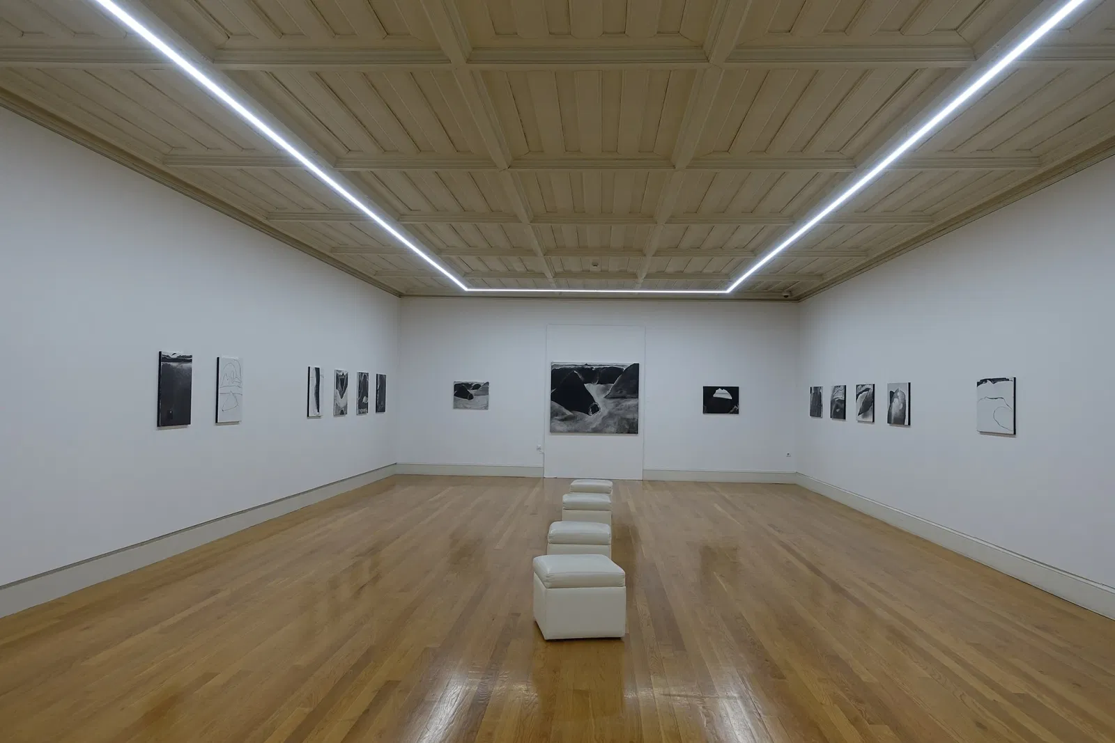 Municipal Museum Amadeo de Souza Cardoso