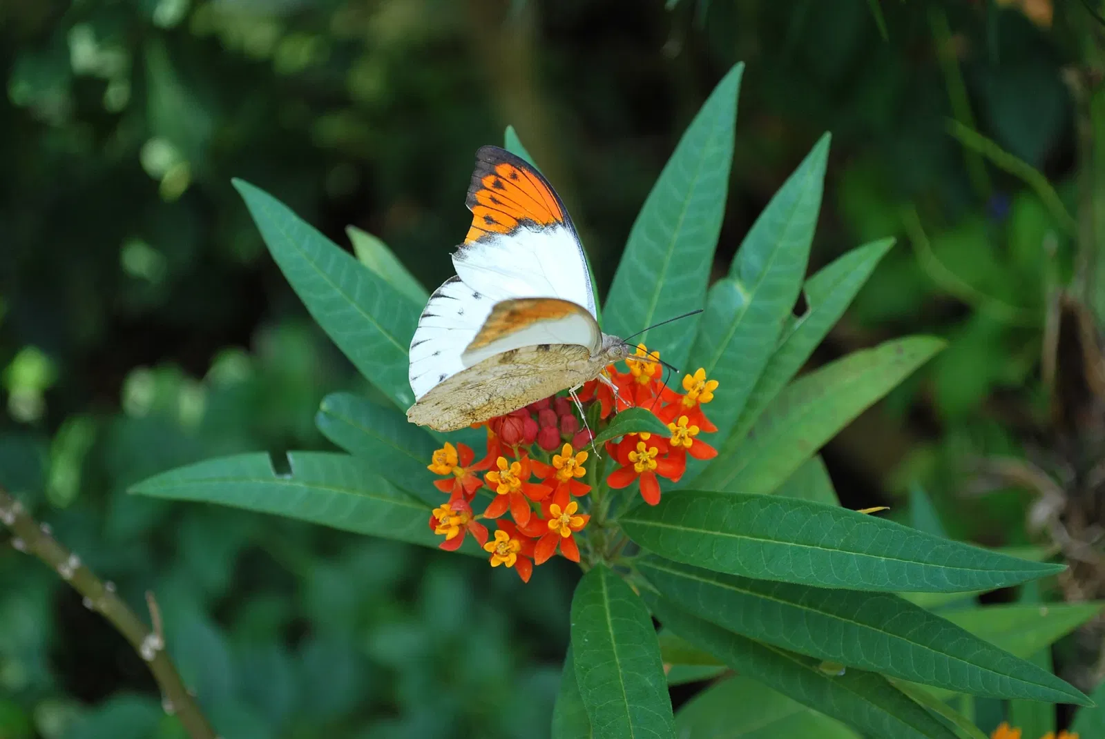 Tama Zoological Park