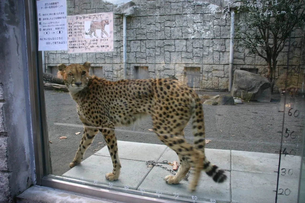 Tama Zoological Park