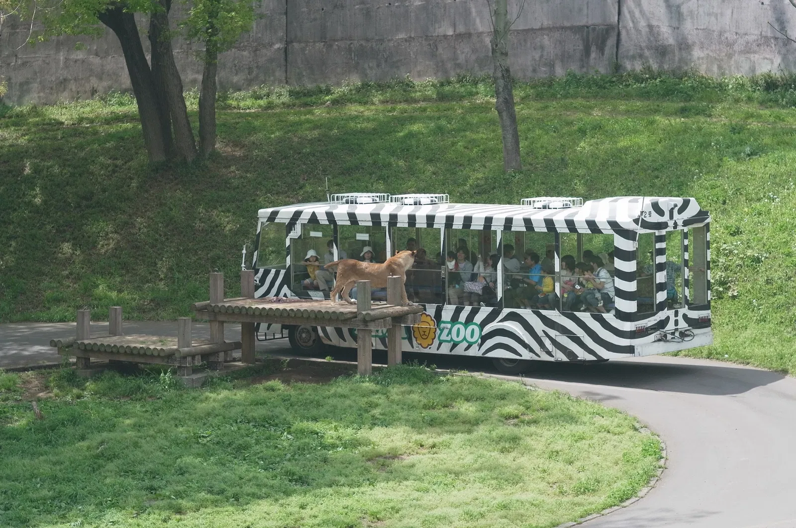 Tama Zoological Park