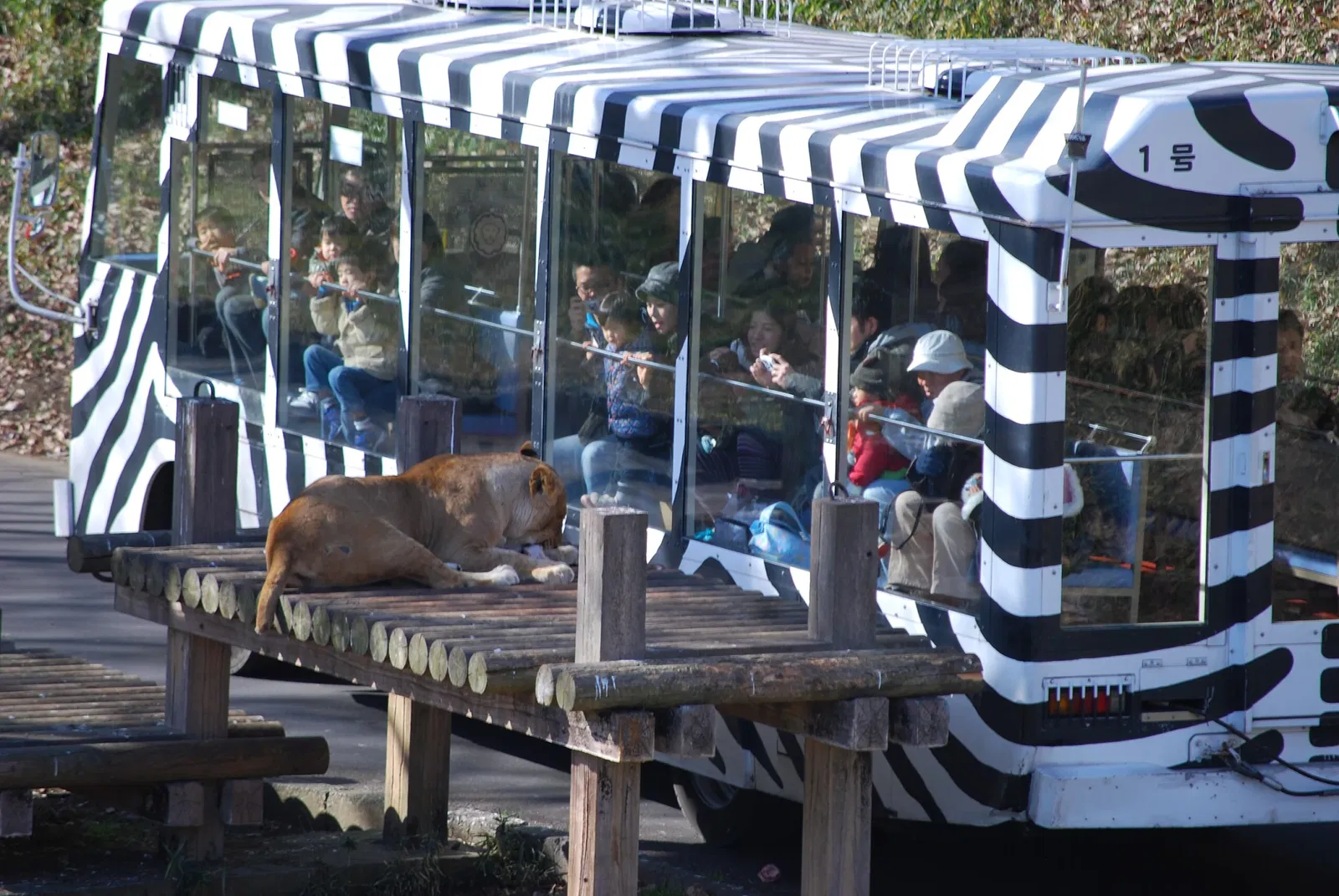 Tama Zoological Park