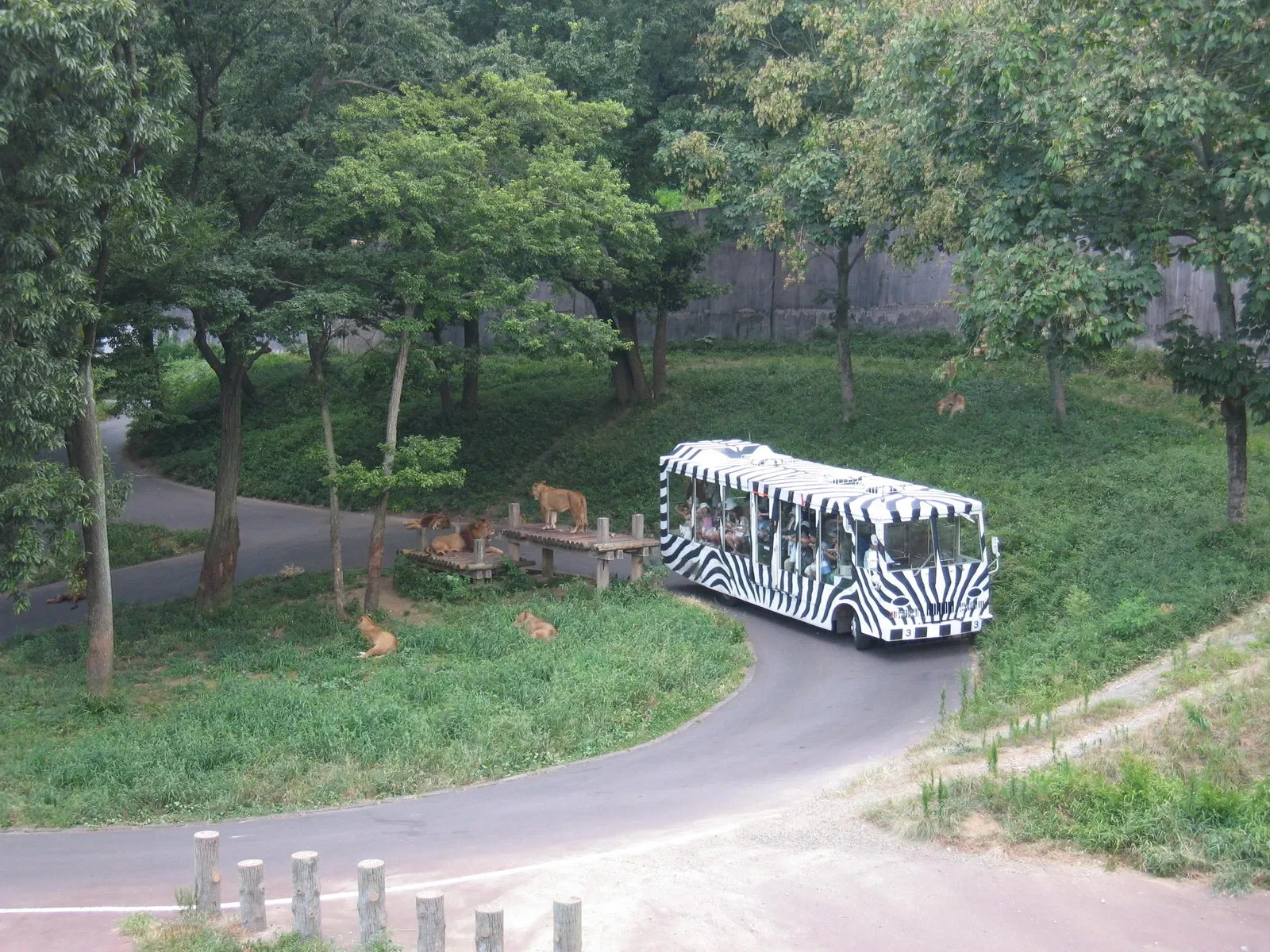 Tama Zoological Park