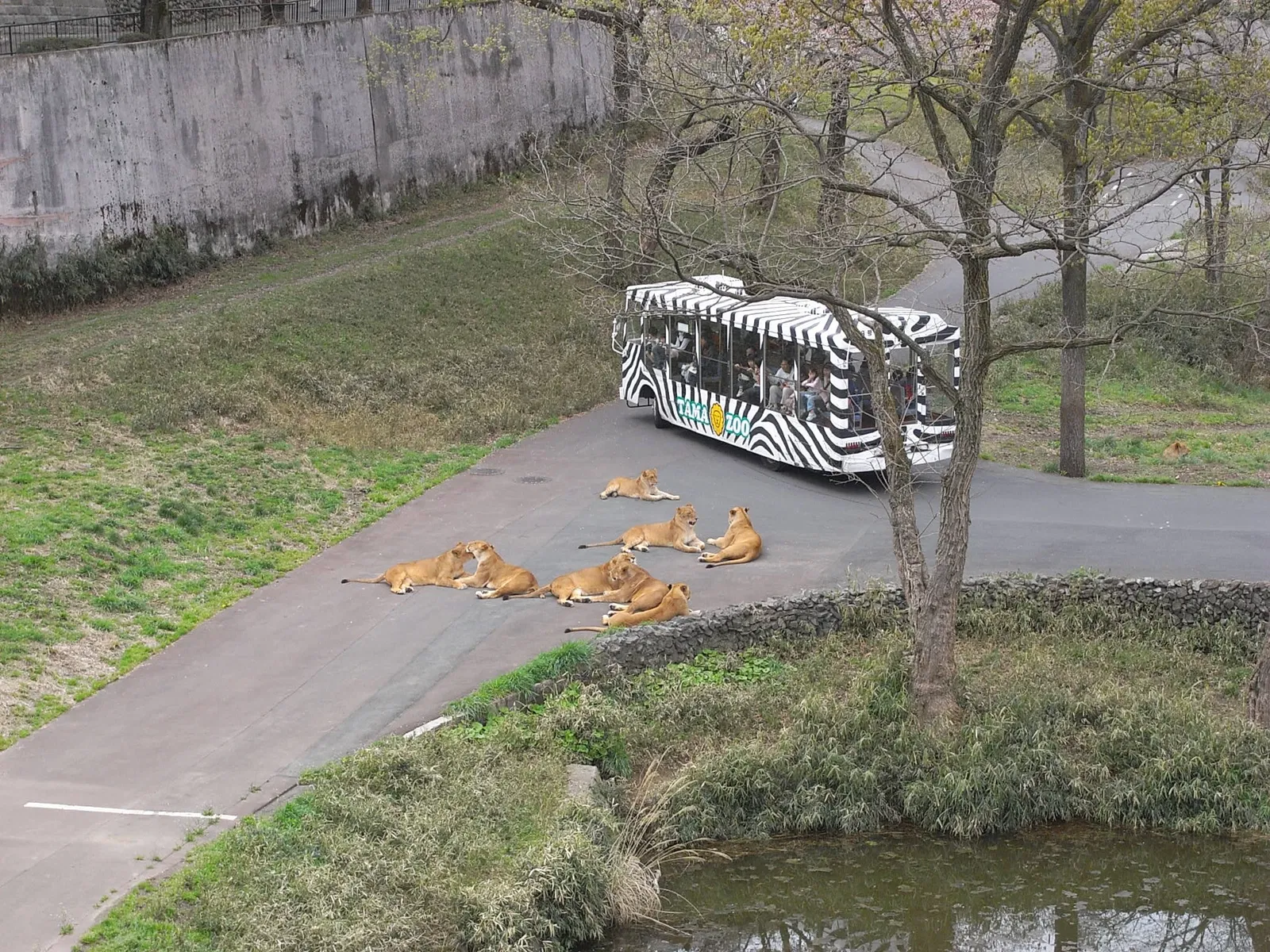 Tama Zoological Park