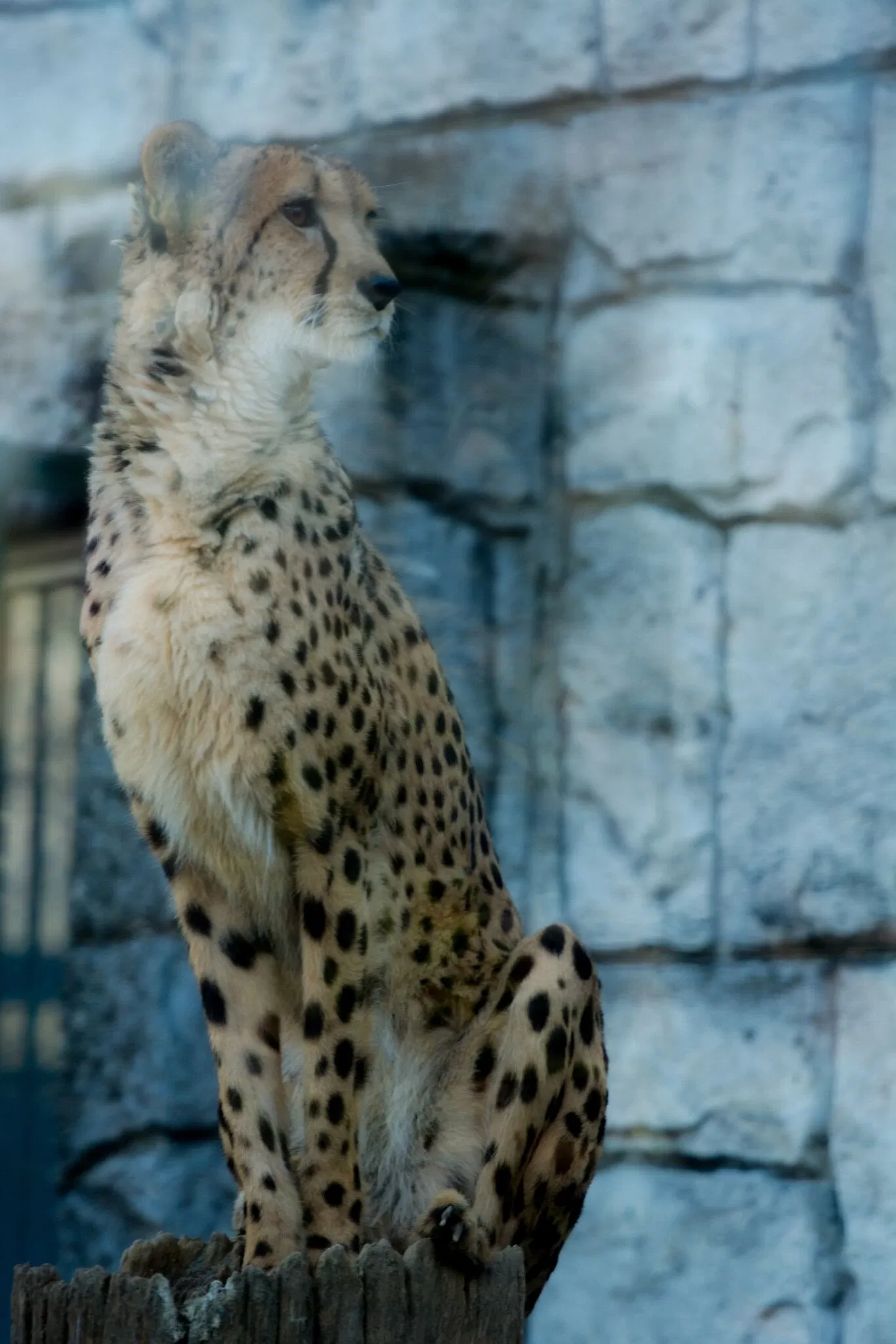 Tama Zoological Park