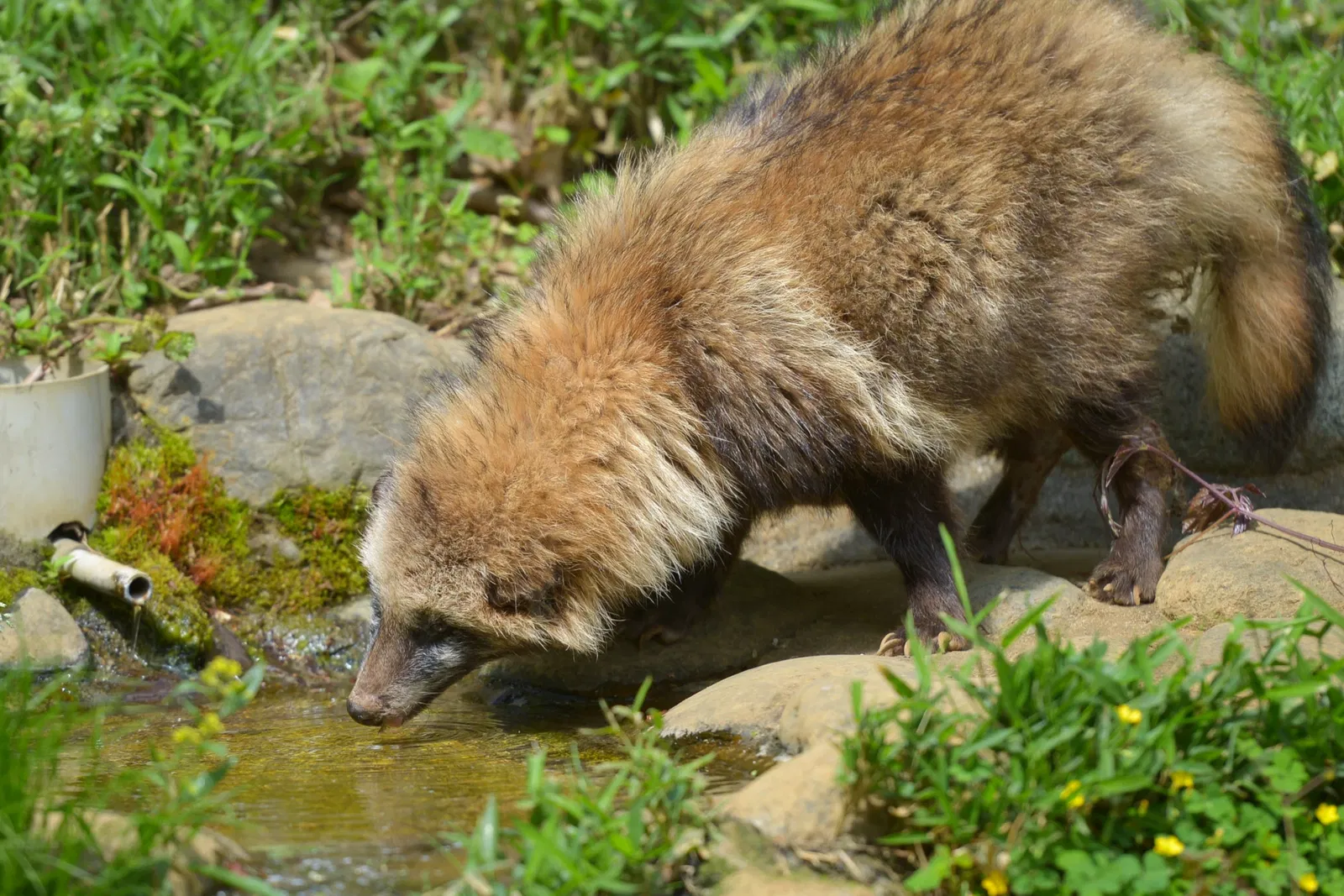 Tama Zoological Park