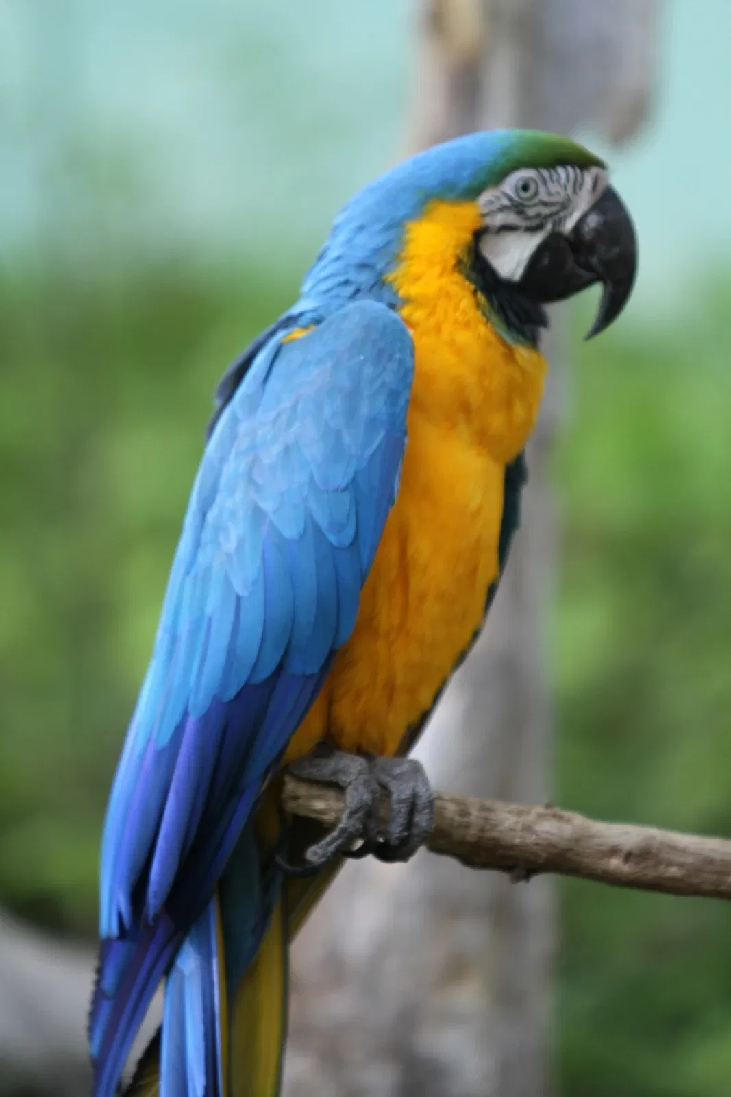 Tama Zoological Park