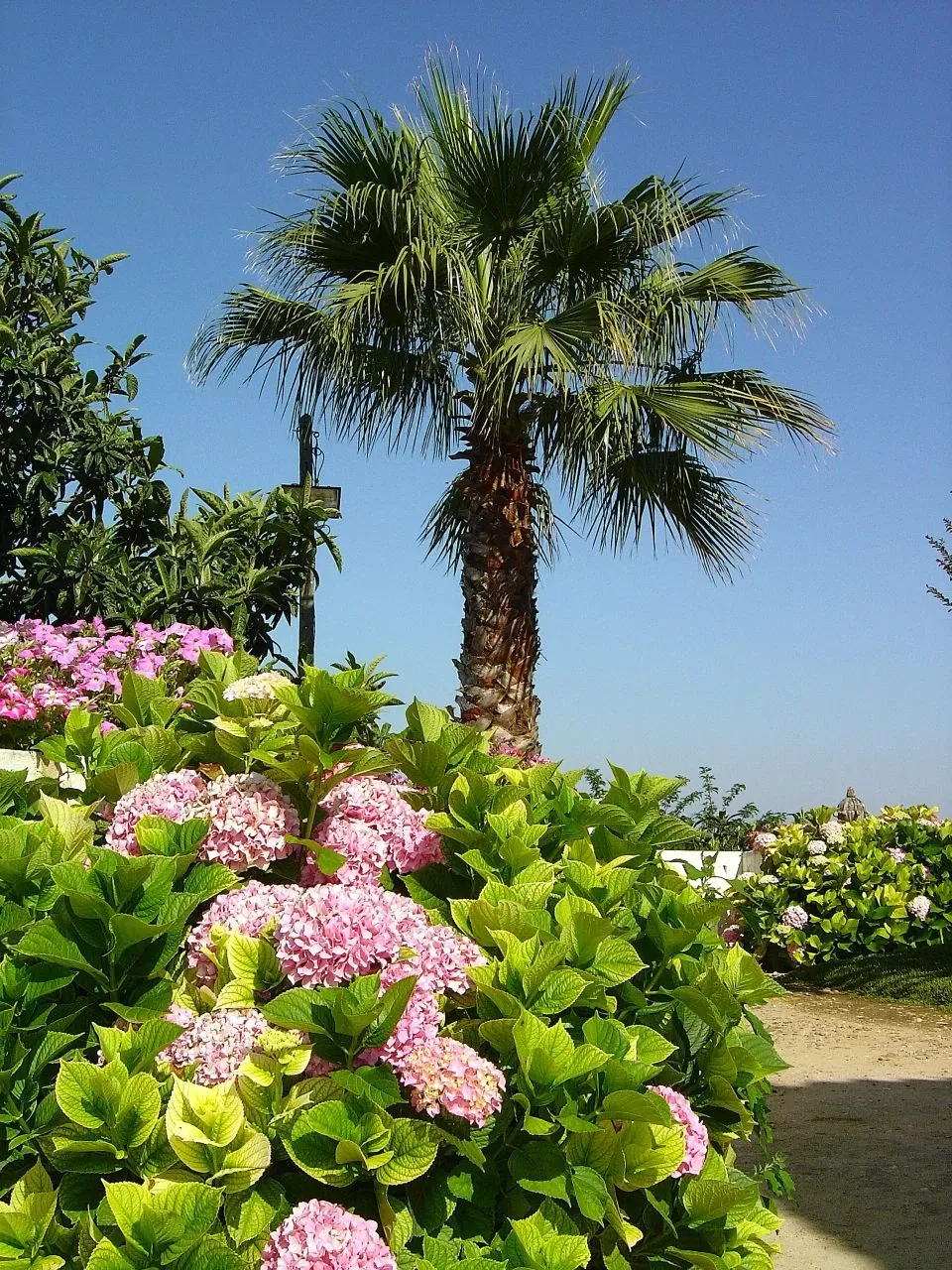 Casa dos Patudos - Museu de Alpiarça
