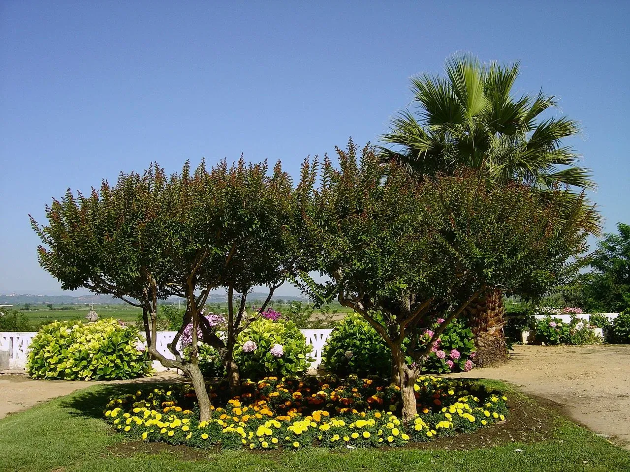 Casa dos Patudos - Museu de Alpiarça