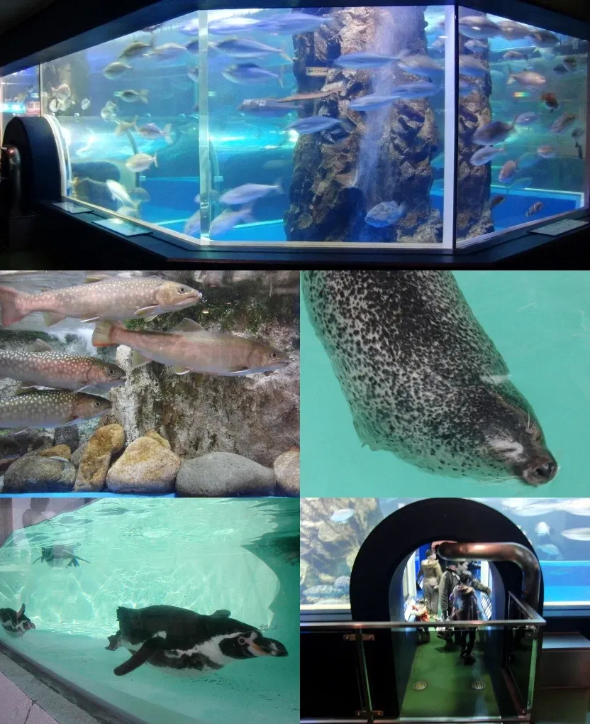 Uozu Aquarium