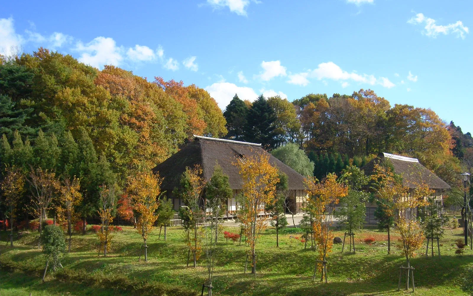 Tohoku History Museum