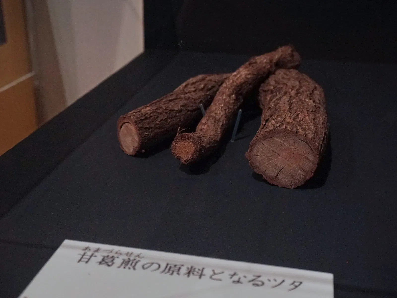 Tohoku History Museum