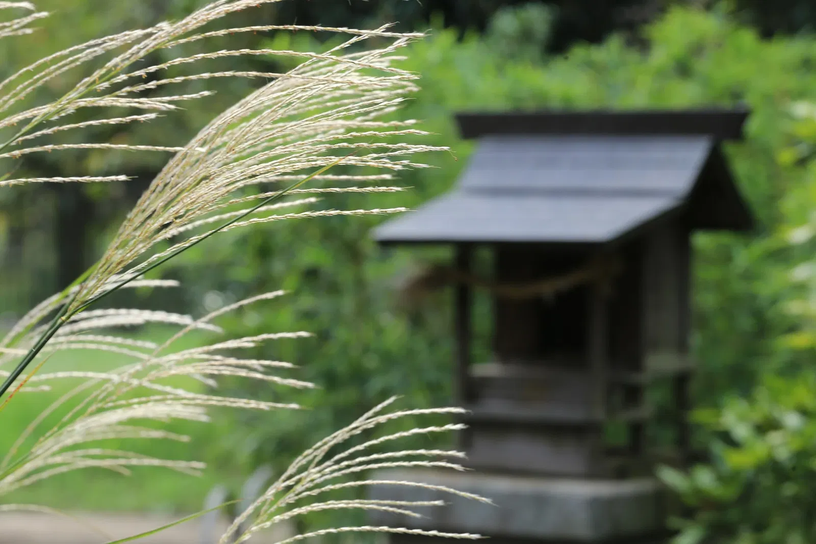 Edo-Tokyo Open Air Architectural Museum