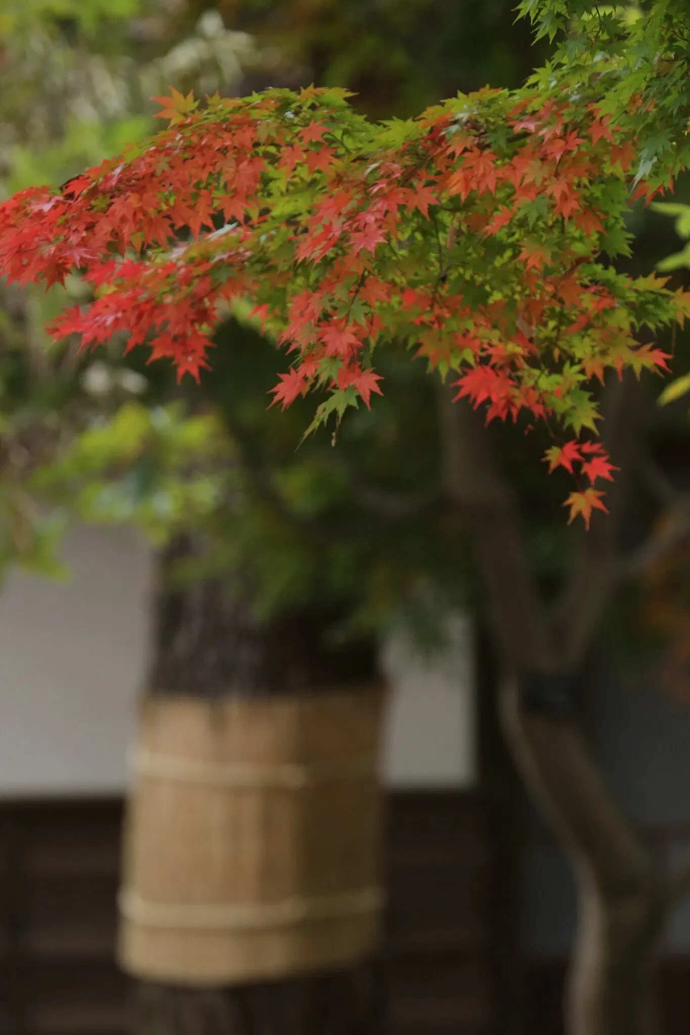 Edo-Tokyo Open Air Architectural Museum