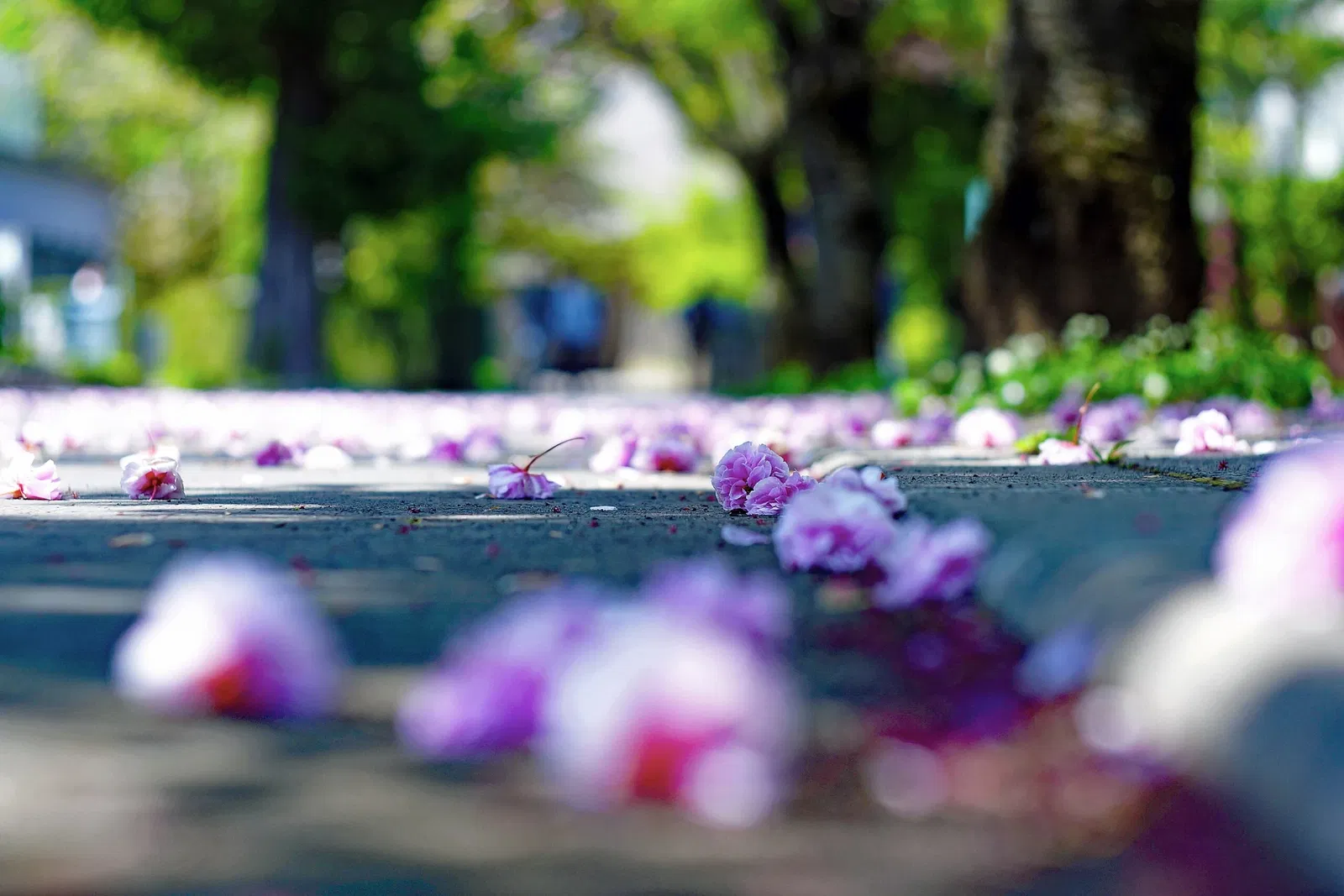 Edo-Tokyo Open Air Architectural Museum