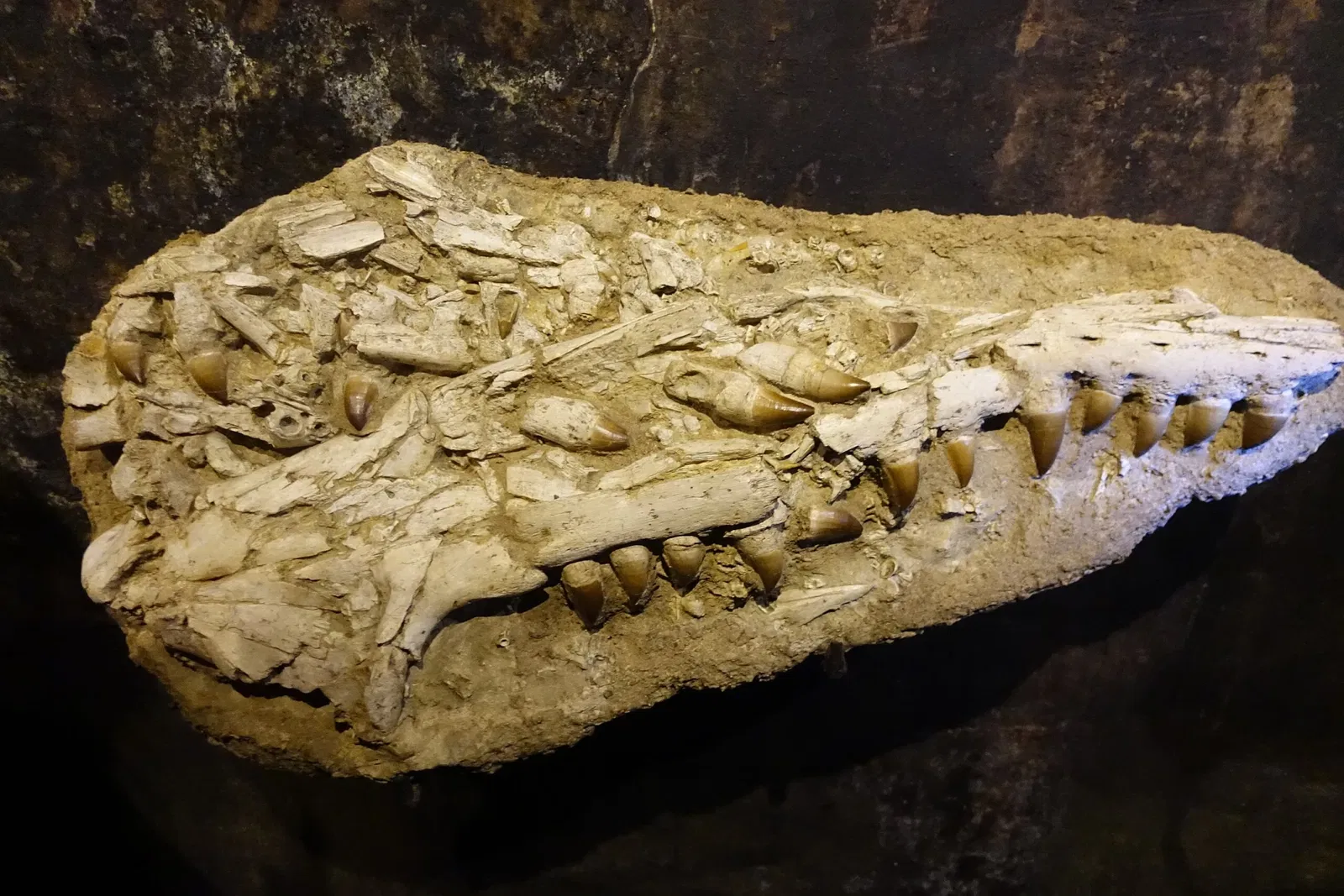 Aliança Underground Museum