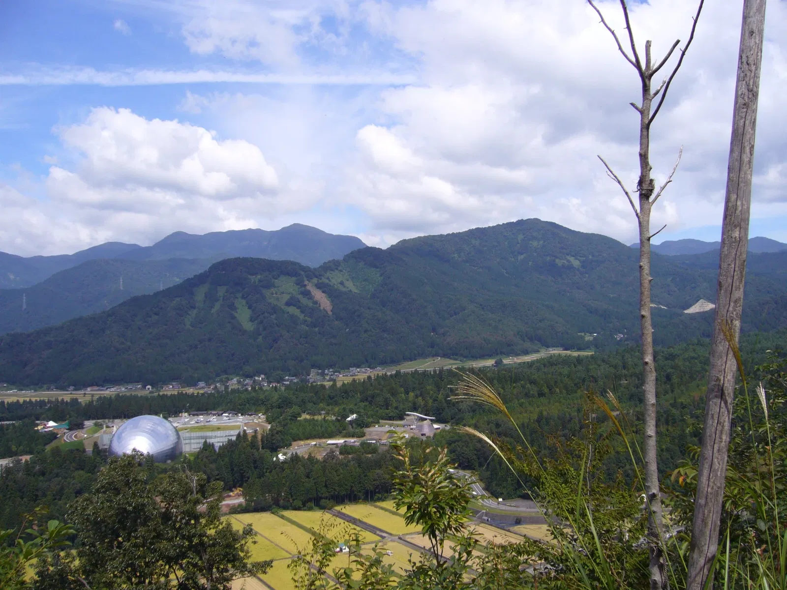 Fukui Prefectural Dinosaur Museum