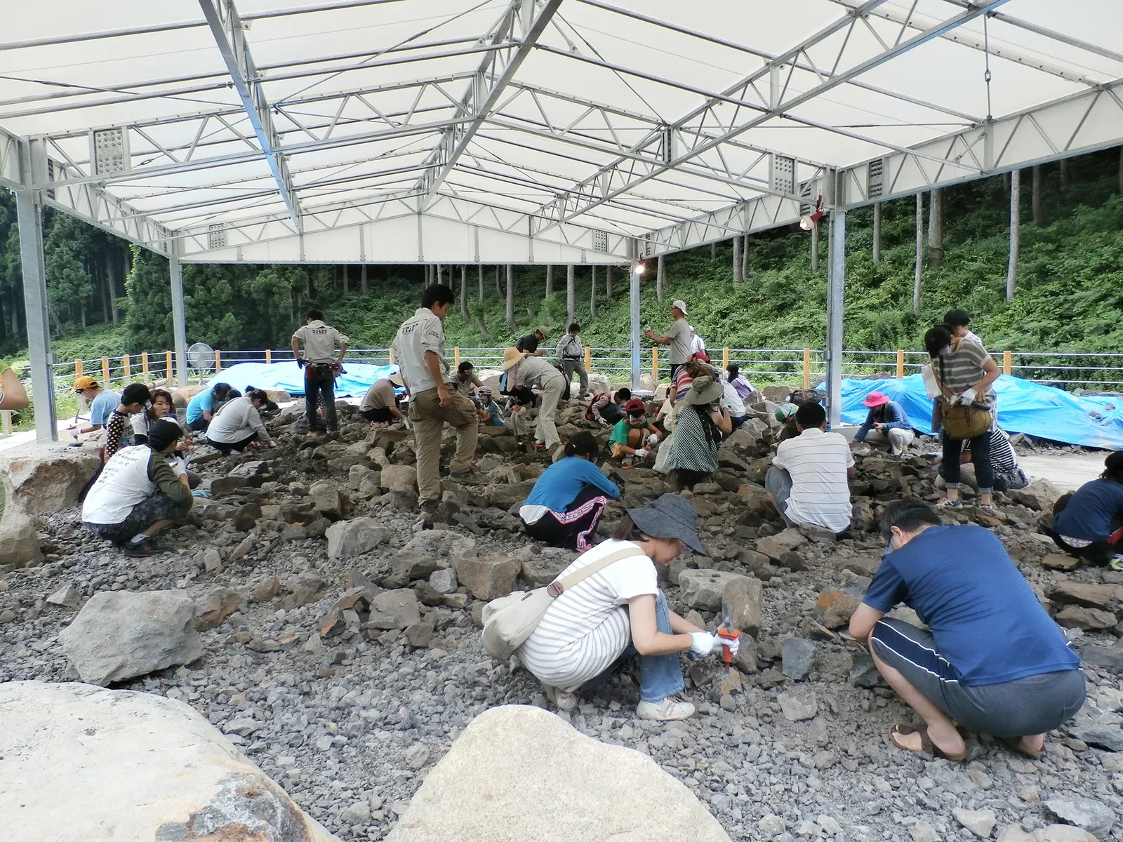 Fukui Prefectural Dinosaur Museum