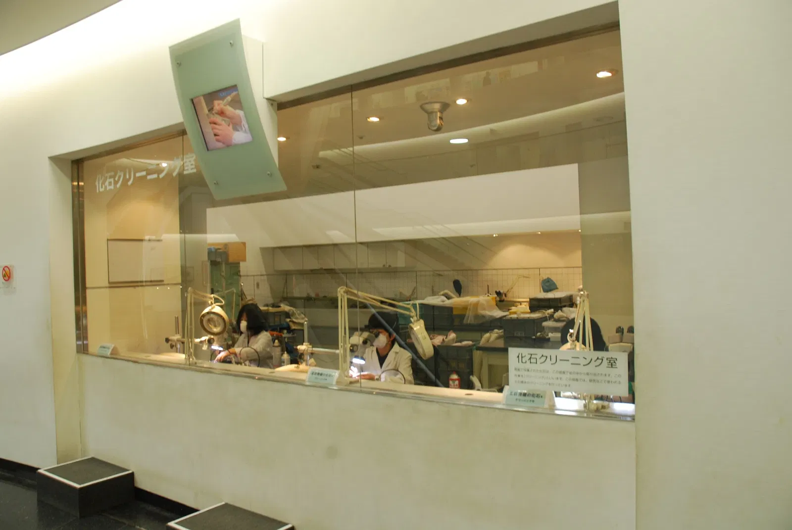 Fukui Prefectural Dinosaur Museum