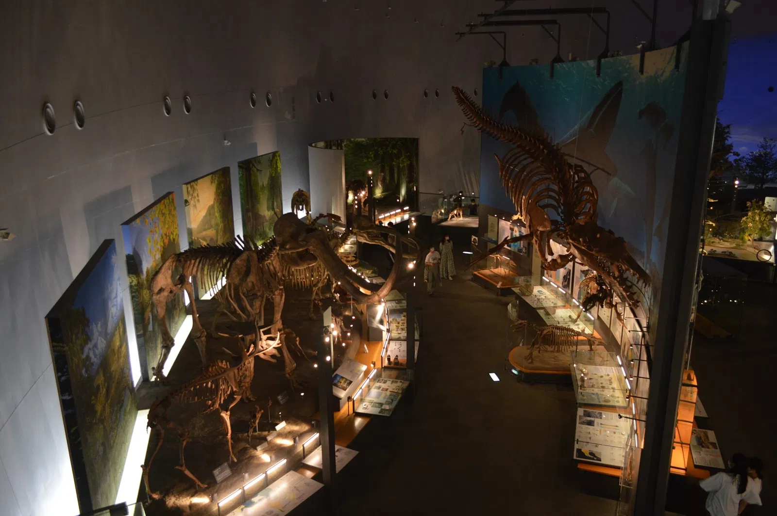 Fukui Prefectural Dinosaur Museum
