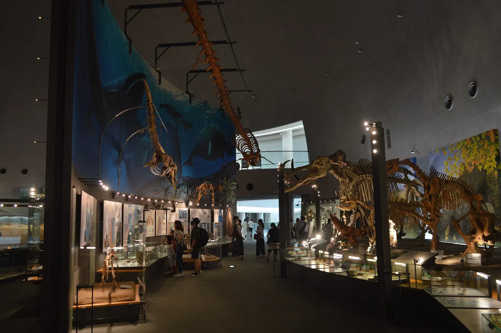 Fukui Prefectural Dinosaur Museum
