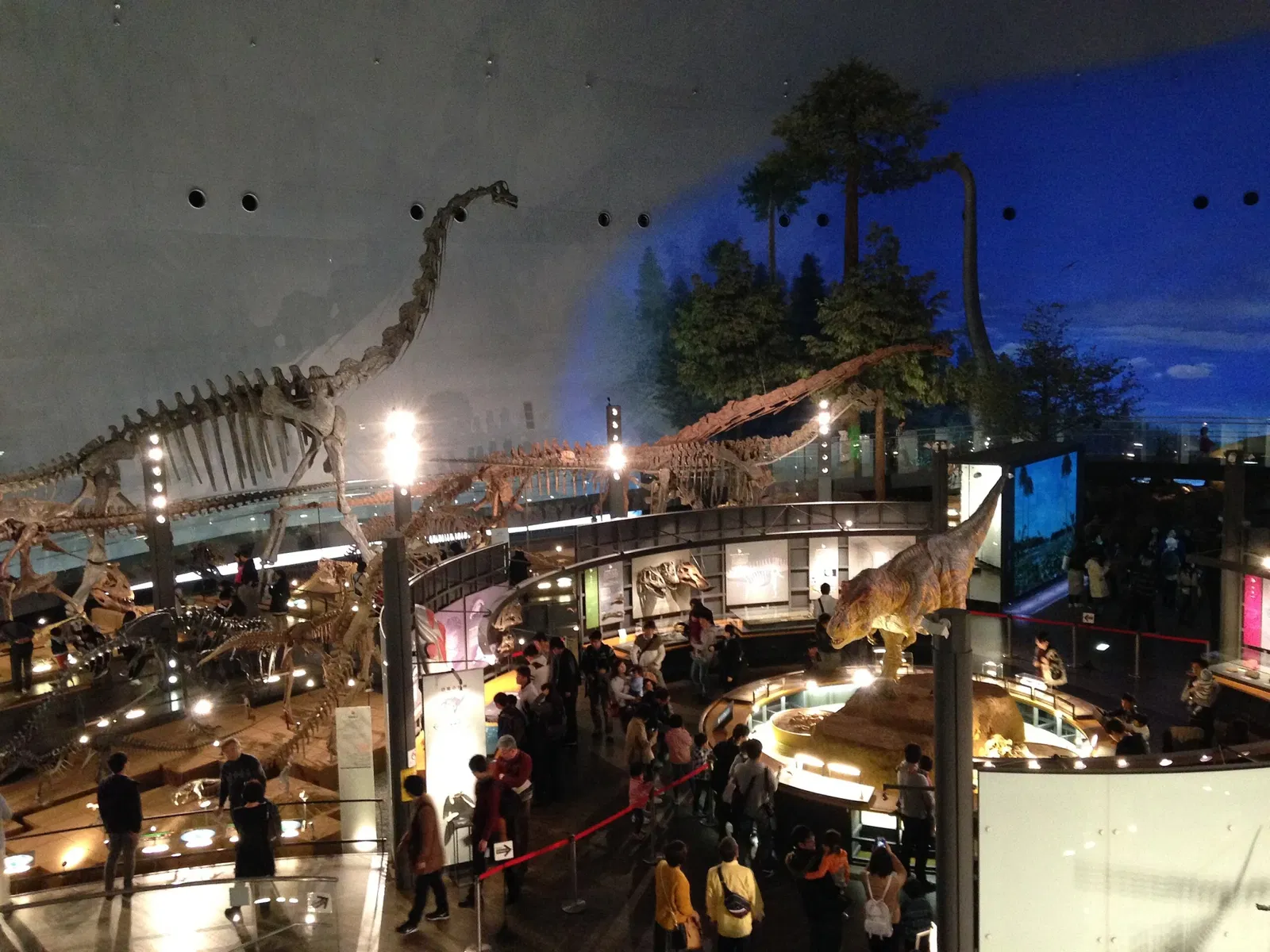 Fukui Prefectural Dinosaur Museum