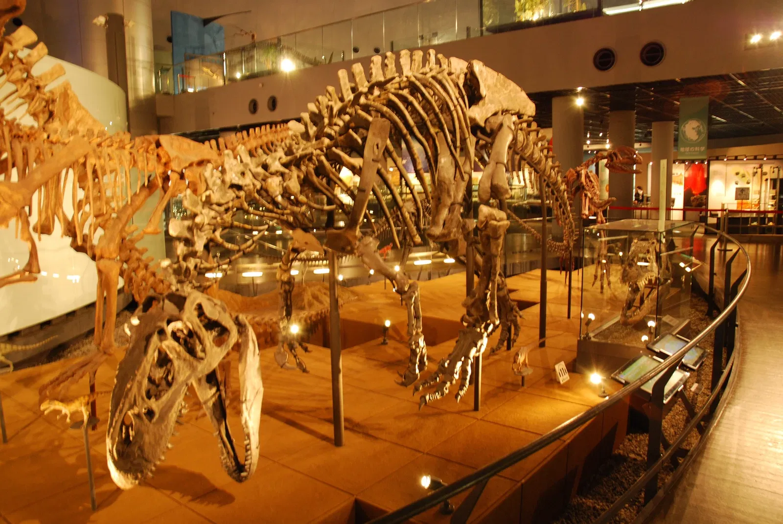 Fukui Prefectural Dinosaur Museum