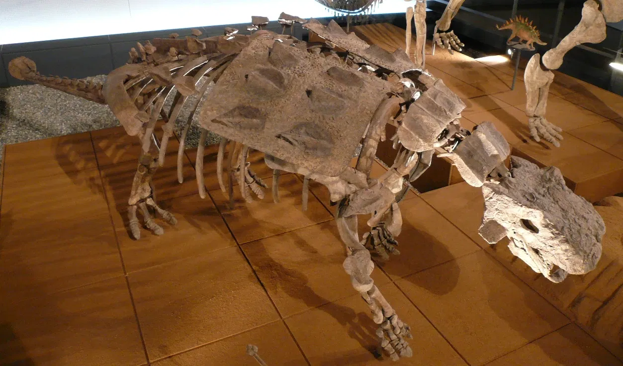 Fukui Prefectural Dinosaur Museum