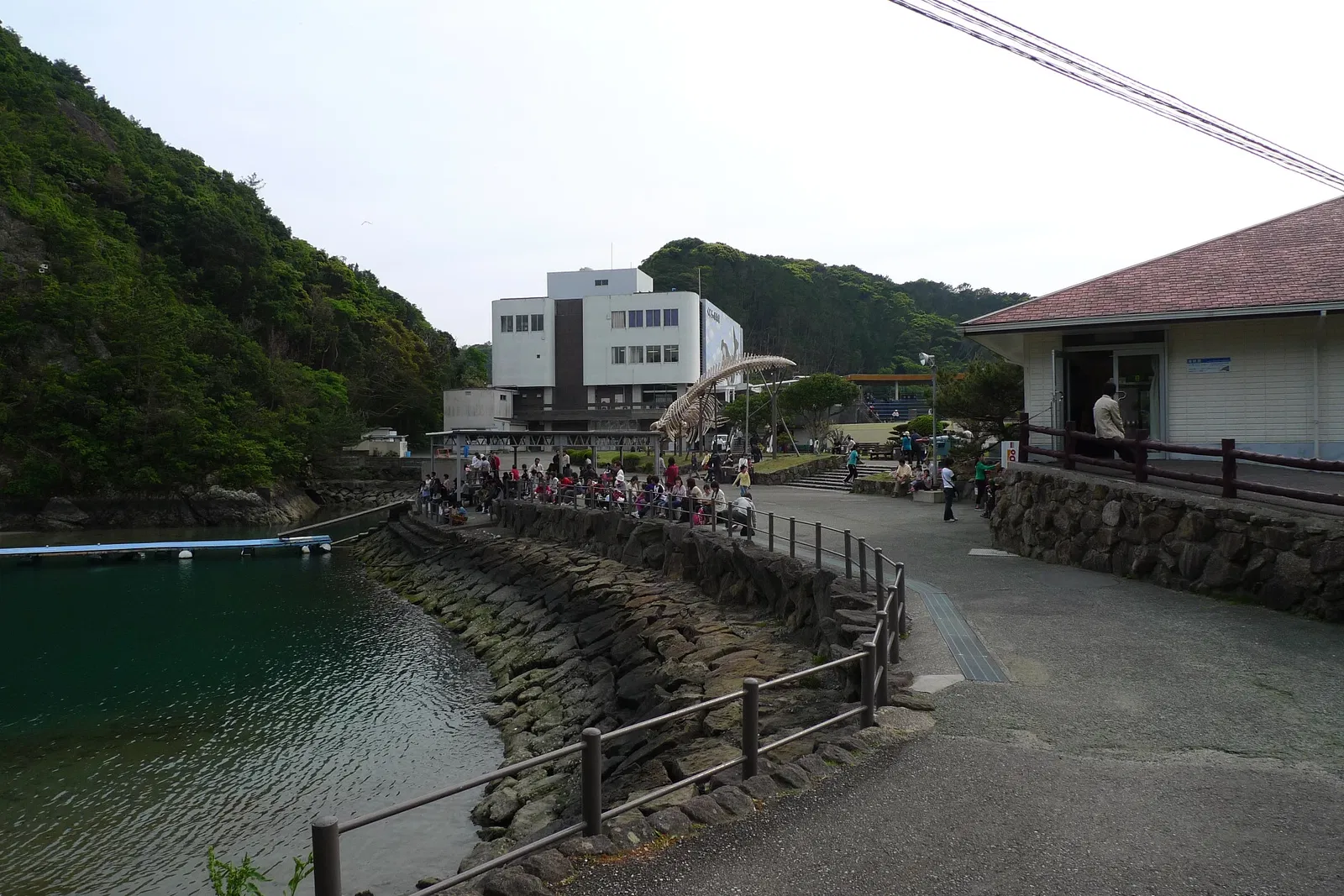 Taiji Whale Museum