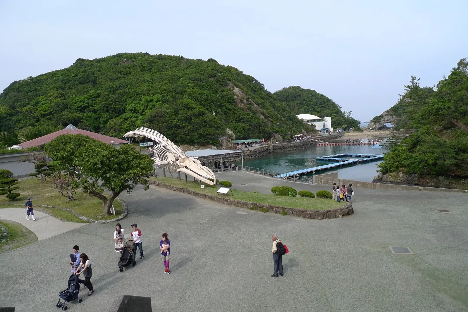 Taiji Whale Museum
