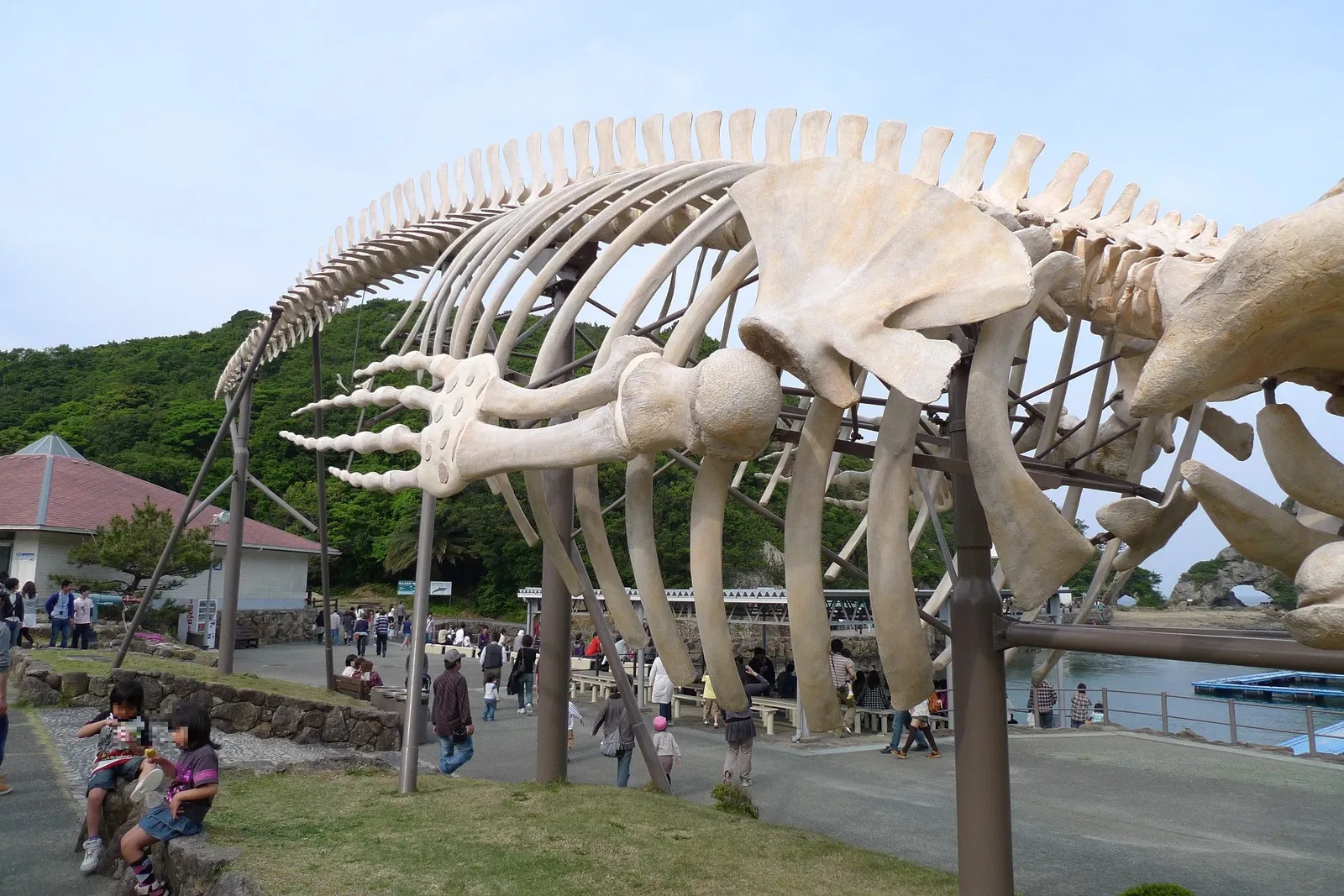Taiji Whale Museum
