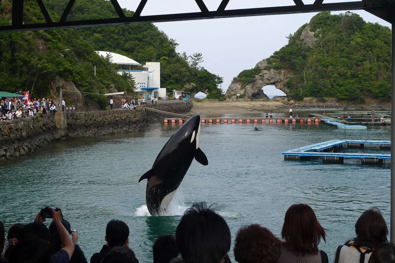 Taiji Whale Museum